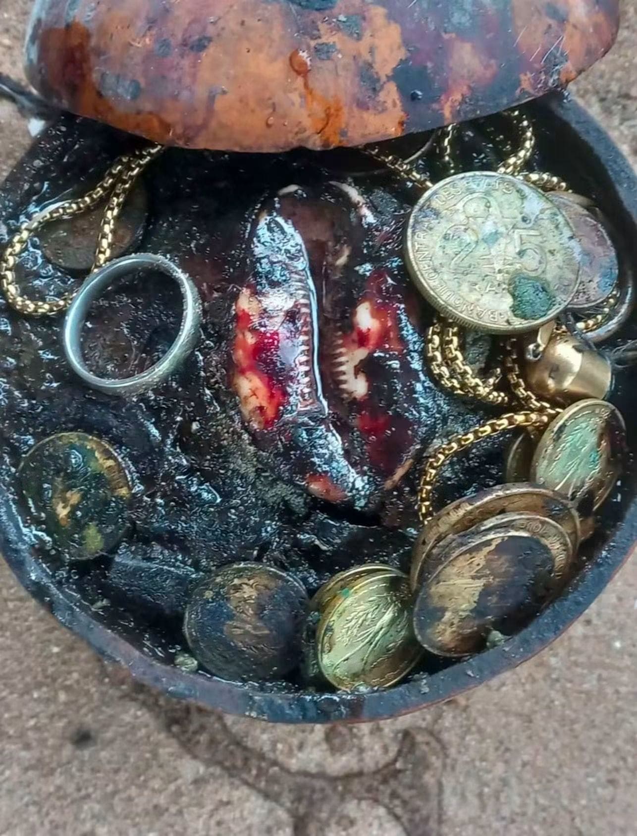 Traditional spiritual work for career and prosperity, with coins, a ring, and a cowrie shell
